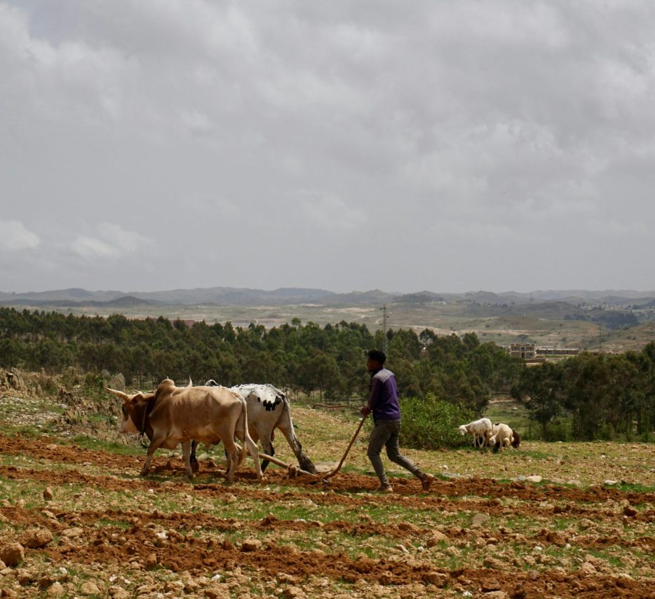 ehlikind-mzirDOkA4UM-unsplash